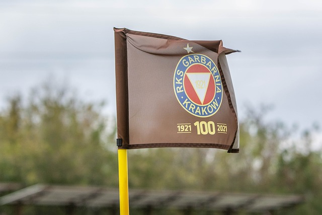 境中找到新 境中找到新