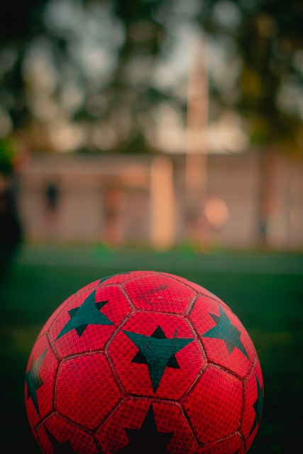 更是对未来 更是对未来