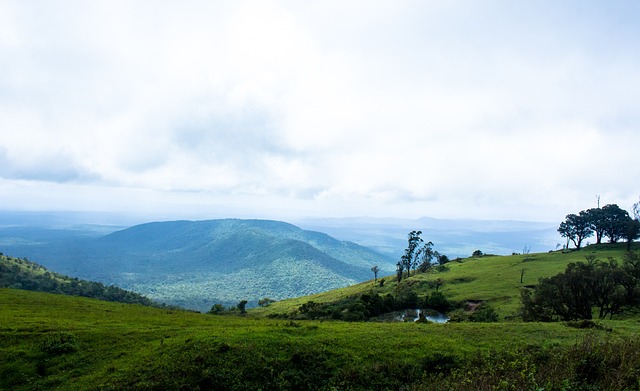 共同追逐奥 共同追逐奥