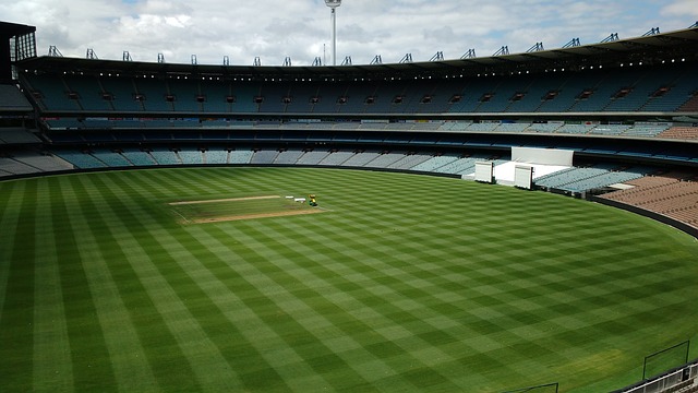 增强了女篮 增强了女篮