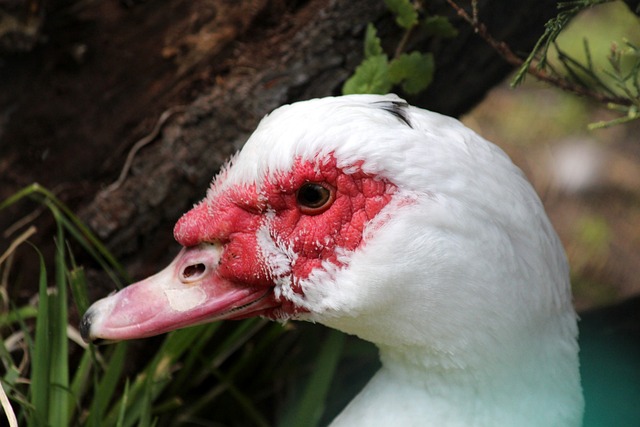 今年的联赛 今年的联赛