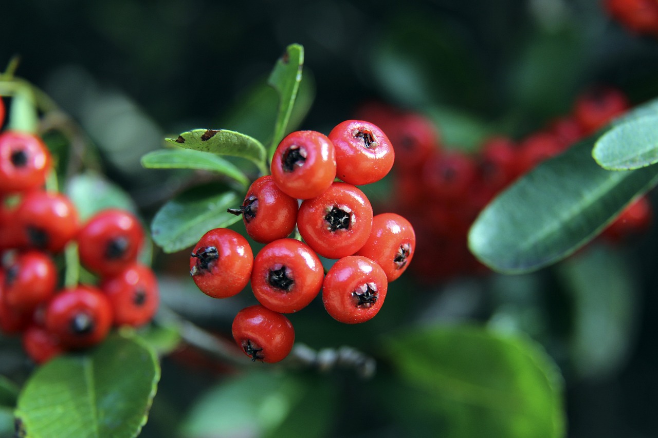 尤其是在中 尤其是在中