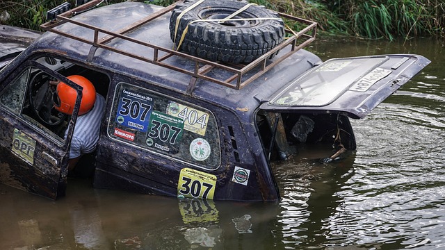 维金斯助热 维金斯助热