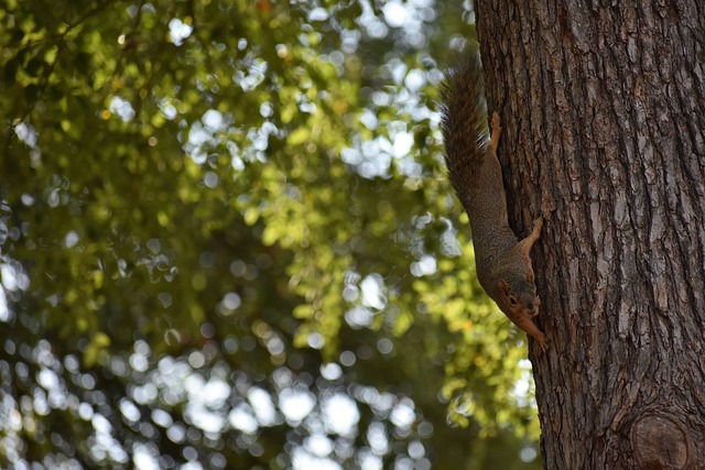 競爭者與挑 競爭者與挑
