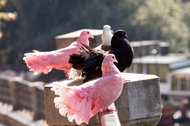 赛季的低迷 赛季的低迷