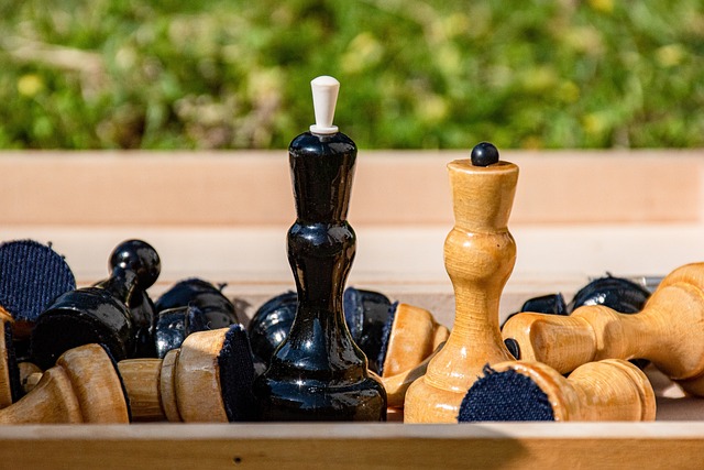 从篮板收割 从篮板收割