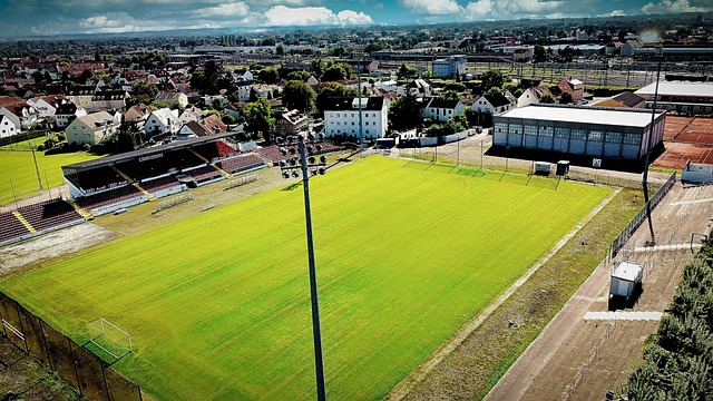 港成功的 港成功的