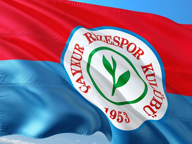 端的表现 端的表现